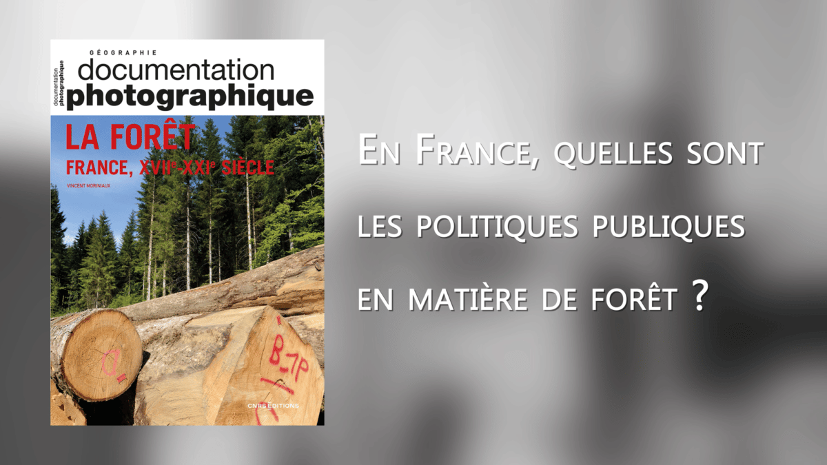 En France, quelles sont les politiques publiques en matière de forêt ?