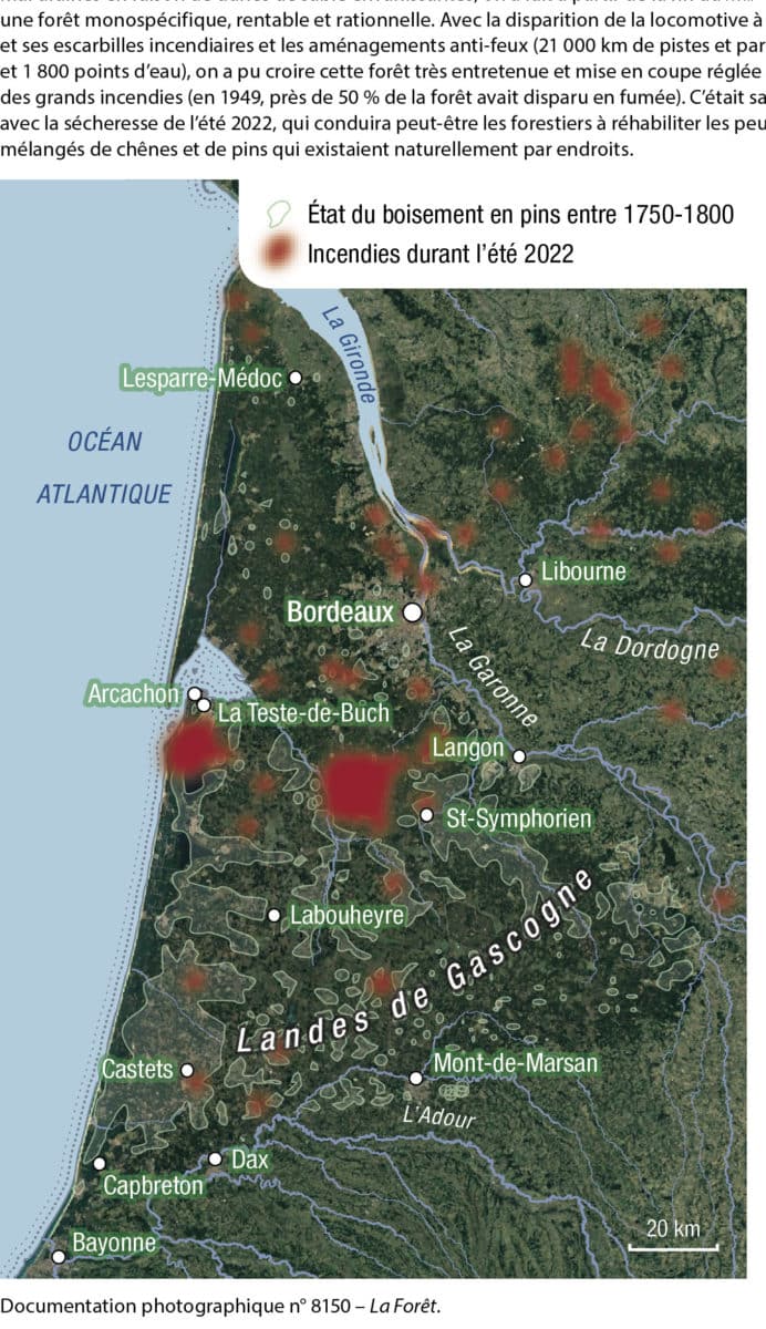 Evolution de la foret des Landes